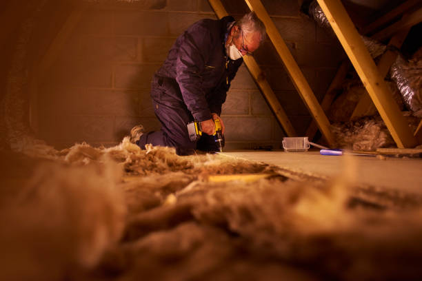 Best Residential Insulation in Alturas, CA